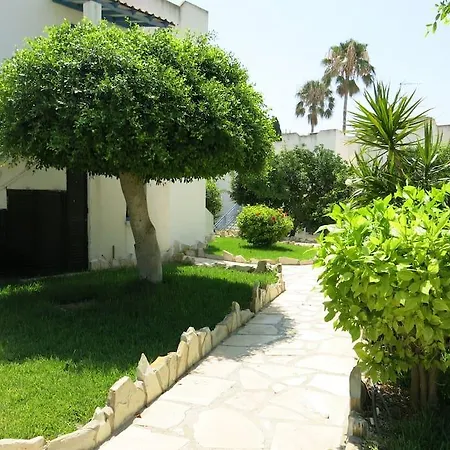 Dhekelia Diamond * Larnaca